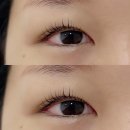 오영뷰티 이미지