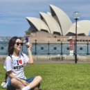 포엔시드니 이미지