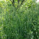 수지농장 이미지