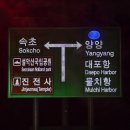 소방울 | 속초 현지인맛집 드디어 가본 소방울 내돈내산 솔직후기