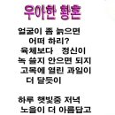 빵긋빵긋 이미지