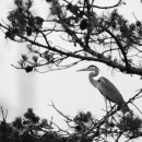 신북초교 이미지