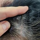 여성헤어 이미지