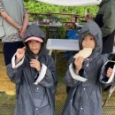 구석기체험숲3 이미지