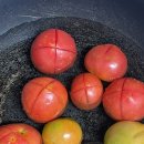 달림농장 이미지