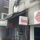 카페청춘 | 홍대 카페 데이트 | 청춘 고양이 카페 힐링 후기