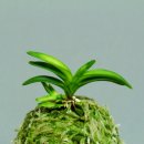 황호농장 이미지