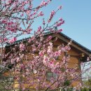 손불농장 이미지