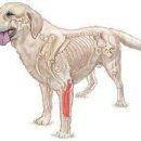 한가람동물의료센터 이미지