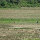 은설농장 이미지