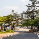 김천중학교 Daum카페