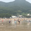 힐링비치 | 6살 아이와 다녀온 남해 상주은모래비치 솔직 힐링 후기 🌊