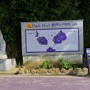 전라남도 신안군 안좌면 퍼플교 이미지