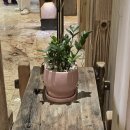 세계보청기 이미지