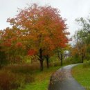 그대발길머무는곳에 이미지