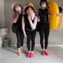 장호이미자펜션 | 엄마랑 떠난 알찬 1박2일 삼척여행