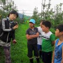 차황상법마을 이미지