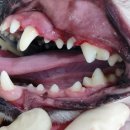 미소메디컬센터 이미지