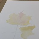 보타니컬아트(식물세밀화) 이미지