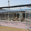 덕암농장 이미지