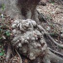 남망산길 이미지