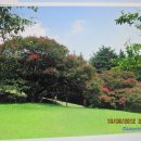 양정1동-28 이미지