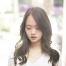 라벤더에쉬