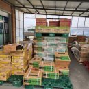 태안농협 농자재마트 이미지