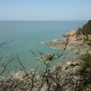 솔향기길1코스(당봉) 이미지