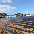 농업회사법인자연가(유) 이미지