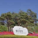 별;그리다