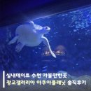 갤러리아 광교 | 실내데이트 수원 가볼만한곳, 광교갤러리아 아쿠아플라넷 솔직후기