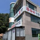 새댁쭈꾸미 | 동탄 쭈꾸미잘하는집 쭈꾸미는 무조건 여기다