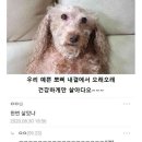 온하 이미지