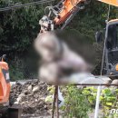 박정호농장(1농장) 이미지