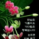 물들어간다는 것은 이미지