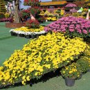 중앙체육공원 이미지