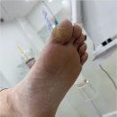 동성메디