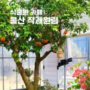 세븐일레븐 울산알프스타운점 | 울산 언양 대형 카페 작괘원림 작천정 주변 식물원