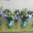 원플라워 이미지