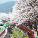 여주-0025 이미지