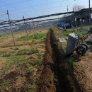 정비하다 이미지