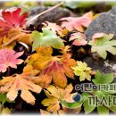 이화정농장 이미지