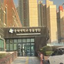 모아 동물병원 | 강아지폐종양 : 청주 충북대학교 동물병원 진료후기