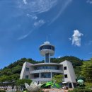 한국차문화예절협회 | 전남 보성 실내 아이랑 갈만한 곳 [한국차 박물관] 실내 체험 방문 후기