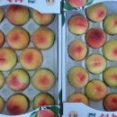 선희농장 이미지