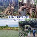 거문오름 용암동굴계 상류동굴군(웃산전굴 북오름굴 대림굴) | 제주도 세계자연유산마을 덕천리 용암교 거문오름 용암동굴계 2025 세계유산축전