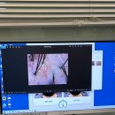 코스케어 | 두피전문관리 [두피밥 하남점] | 두피스케일링 두피팩 수분테라피 30대 남성 찐후기