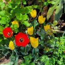 인보목장 이미지