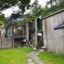 호정커피숍 이미지